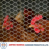 Poultry Hexagonal Wire Netting (ISO9001)