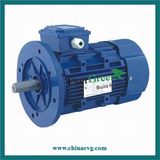 Y2-1/Y Series Electric Motors