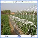 Galvanized Razor Barbed Wire Mesh