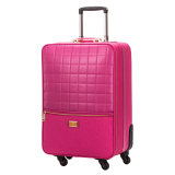 Fashion Top Quality Universal Wheeled Trolley Luggage (CG-1023-22