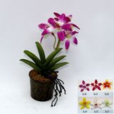 Artificial Potted Flower, Imitative Silk Orchid