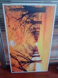 Electric Wall Mount Panel Heater