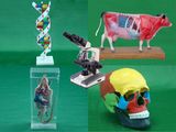 Educational Equipment - Biology