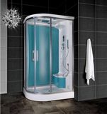 Steam Shower Room (WN-1206)