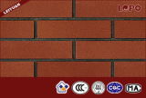 Low Water Absorption Exterior Clay Brick