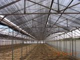 Plastic Agriculture Sun Shading Netting