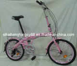 Folding Bicycle with 6speed (FD-021)