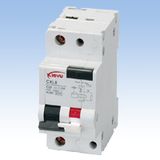 Residual Current Circuit Breaker with Overload Protection (CXL8)