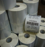 Self Adhesive Paper with Glassine