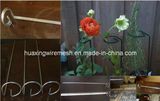 Stainless Steel Garden Flower Supports