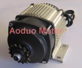 Tricycle Motor