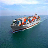 Sea Shipping From Shenhzhen China to Alexander Port /Port Said Door to Door Service