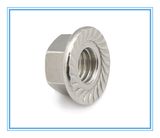 Stainless Steel Hex Flange Nut (DIN6923)