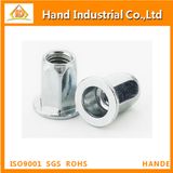 Stainless Steel Flat Head Full Hex Rivet Nut