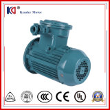 Yb3 Series Electric Three Phase Explosion Proof Motor