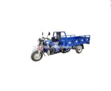 Petrol / Gasoline Cargo Tricycle
