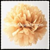 Highly Welcome Tissue Pompom for Weddings