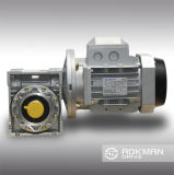 Hot Selling RV Series Worm-Gear Units Combination