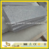 Chinese G603 Grey Granite for Paving Tile or Stair Tread
