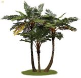 Wholesale Artificial Sala Palm Tree Made in China