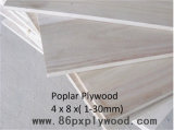 Poplar Plywood Factory