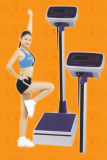 Body Scale/Weighing Scale (DT)