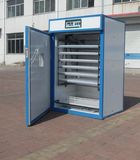 Medium Egg Incubator (KFK) 