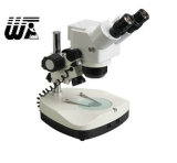 Digital Stereo Microscope (DTX-C2)
