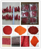 Certified SGS/HACCP/FDA 100-220 Asta Paprika Powder Crushed