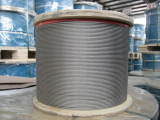 19x7 Stainless Steel Wire Rope (AISI304, 316)