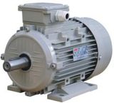 Y2 Aluminum 3-Phase Asynchronous Electric Motor