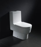 Toilet Supply (Z2060369)