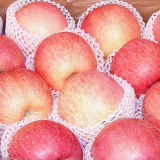 100-125new Crop Delicious Fresh Chinese FUJI Apple