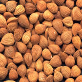 Chinese Almonds with Premium Quality