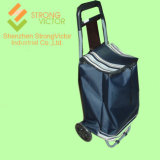 Shopping Cart (SVN008)