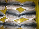 Frozen Mackerel Butterfly Fillet