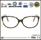 Lady Designer Polarized Sunglasses Fashion Eyewear (YSW3113)