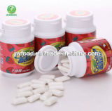 Coolsa Xylitol Dry Chewing Gum