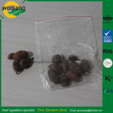 Guangxi Special Agriculture Products Black Cardamom