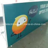 Store Front Light Box Signs with Advertising Light Box for LED Display