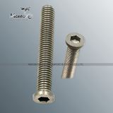 Non Standard Customized Screw, Bolt, Special Fastener (FB009)