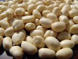 New Crop Blanched Peanut Kernels Round Shape