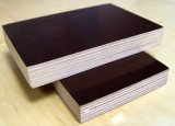 Brown and Black Color Marine Plywood with Superior Quality