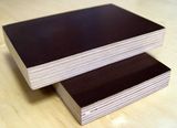 Brown and Black Color Marine Plywood with Superior Quality