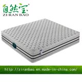 Mattress Wholesale Suppliers Waterproof Pocket Spring Bedding (ZRB-835)