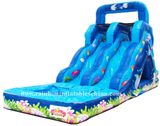 Digital Printing Inflatable Water Slide (RB7006)