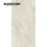 Thin Tile Floor or Wall Building Material 600X1200mm (BRYP120603)