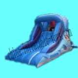 Inflatable Slide Inflatable Water Sports (SL-051)