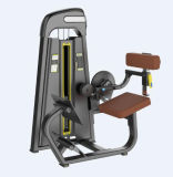 2015 Newest Fitness Equipment Back Extension (SD1016)