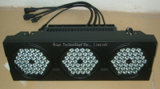 Outdoor High Power LED Wall Washer